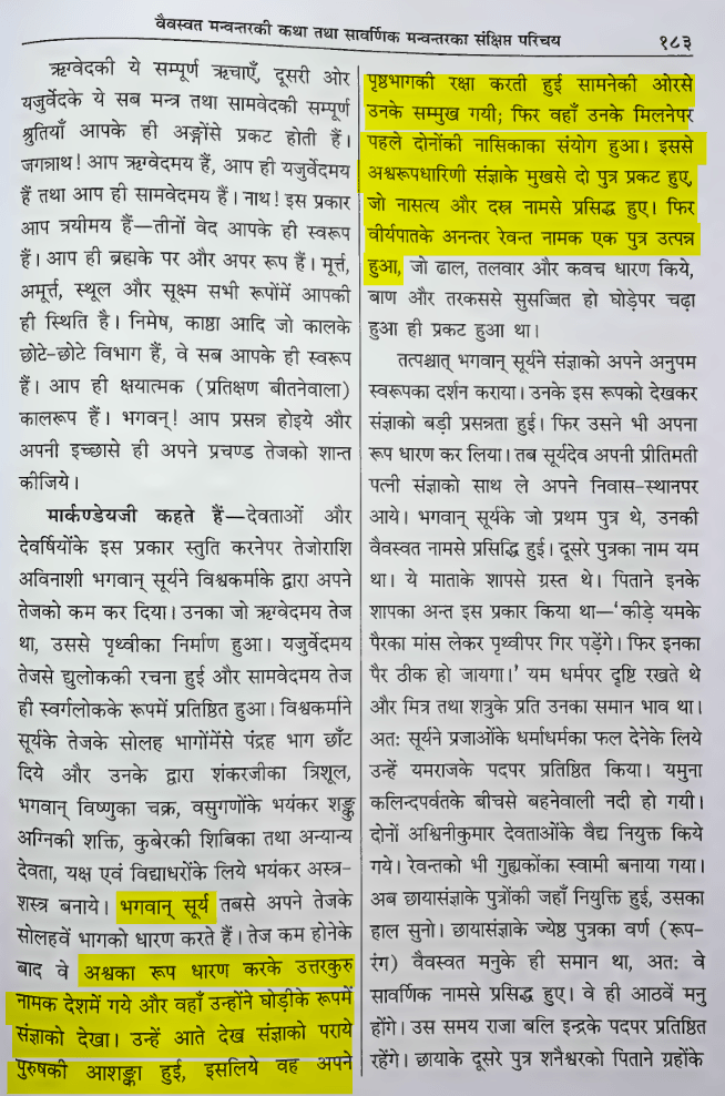 Sankshipt Markandeya Purana (Code 539) written in Hindi script, detailing the equine union of Surya and Sanjana, with yellow highlighted text marking the words 'Nasika Samyoga', 'Ashvini Kumar', and 'Uttarakuru'.